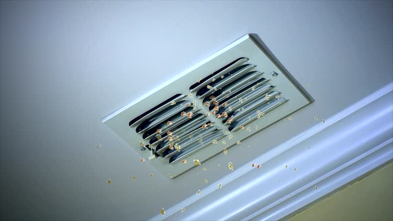 Best HVAC System Cleaning  in Manatee Road, FL